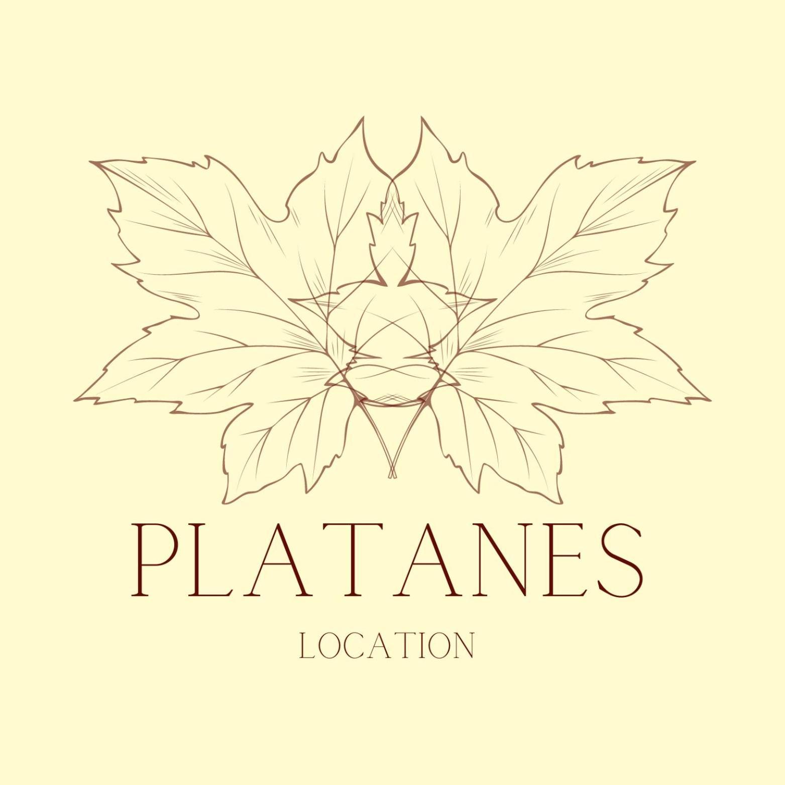 Hotel Platanes - Kb Hotel Group Etauliers Ngoại thất bức ảnh